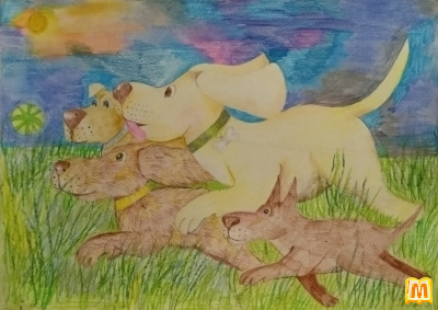 Мої друзі